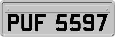 PUF5597