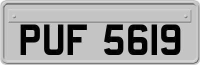 PUF5619