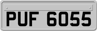 PUF6055