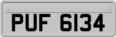 PUF6134