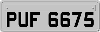 PUF6675