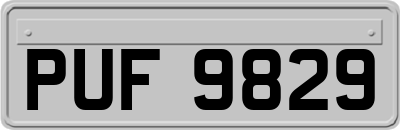 PUF9829
