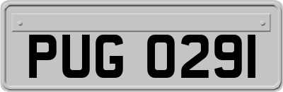 PUG0291