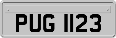 PUG1123