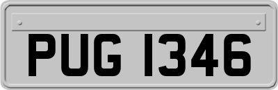 PUG1346
