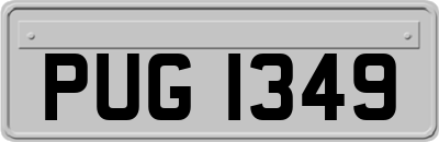 PUG1349