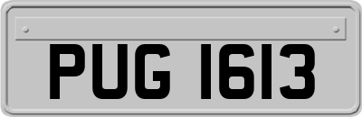 PUG1613
