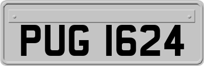 PUG1624