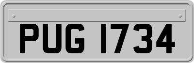 PUG1734