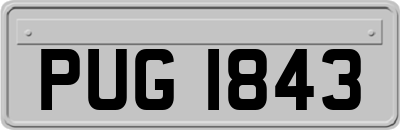 PUG1843