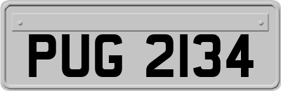 PUG2134