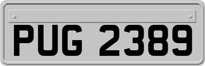 PUG2389