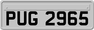 PUG2965