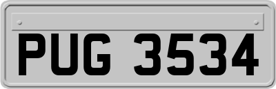 PUG3534