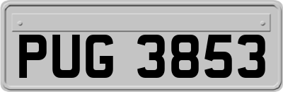 PUG3853