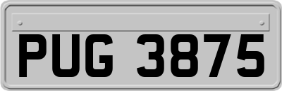 PUG3875