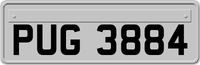 PUG3884
