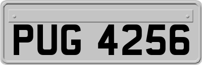 PUG4256