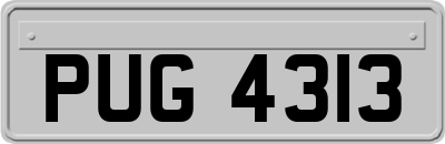 PUG4313