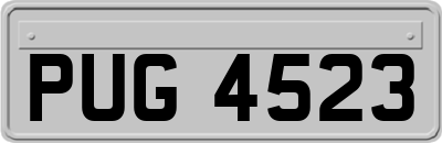 PUG4523