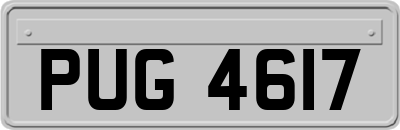 PUG4617
