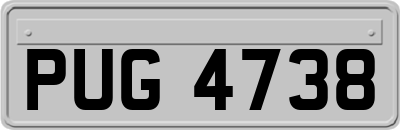 PUG4738