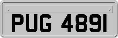 PUG4891