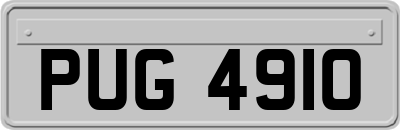 PUG4910