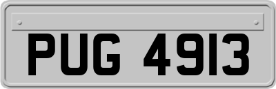 PUG4913
