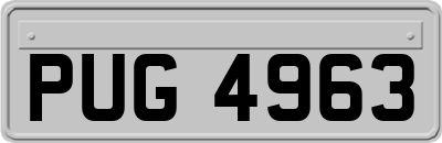 PUG4963
