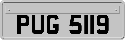 PUG5119