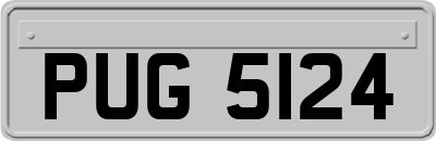 PUG5124