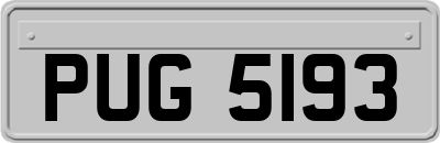 PUG5193