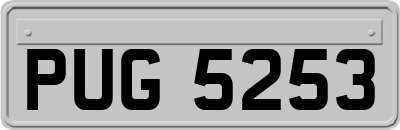 PUG5253