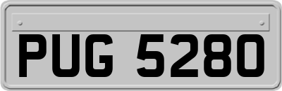 PUG5280