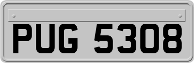 PUG5308