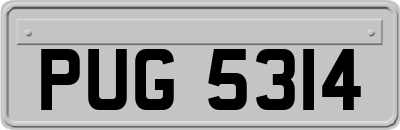 PUG5314