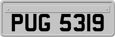 PUG5319