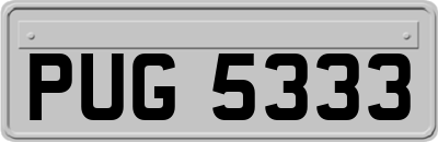 PUG5333