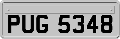 PUG5348