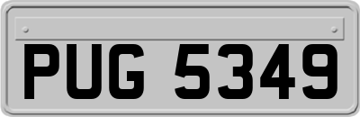 PUG5349