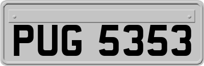 PUG5353