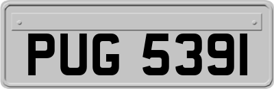 PUG5391