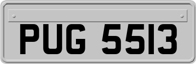 PUG5513