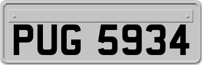 PUG5934
