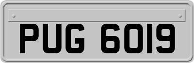 PUG6019