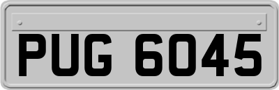 PUG6045