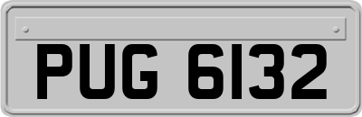 PUG6132