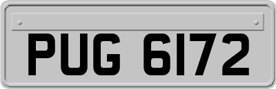 PUG6172