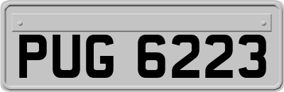 PUG6223